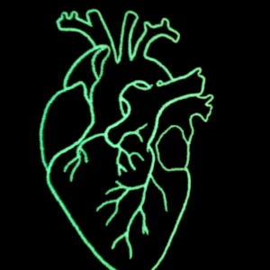 11zon_IMG_7786 Anatomiczne Serce